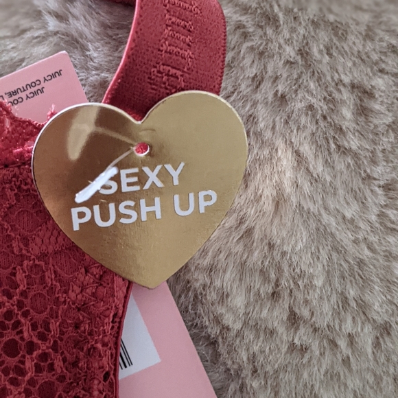 Juicy Couture Sexy Lace Push Up Bra 34B - Picture 12 of 15